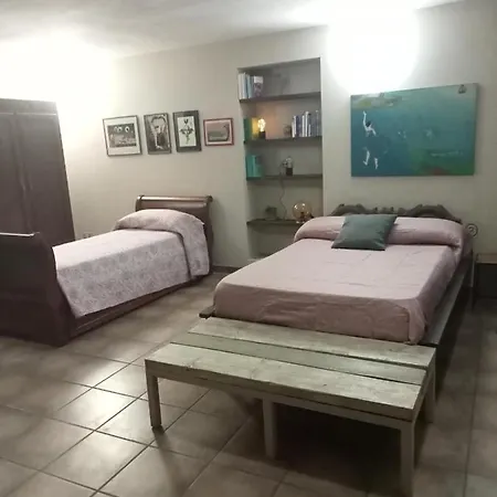 La Semplice Nel *